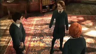 Harry Potter i Zakon Feniksa (Parodia gry)