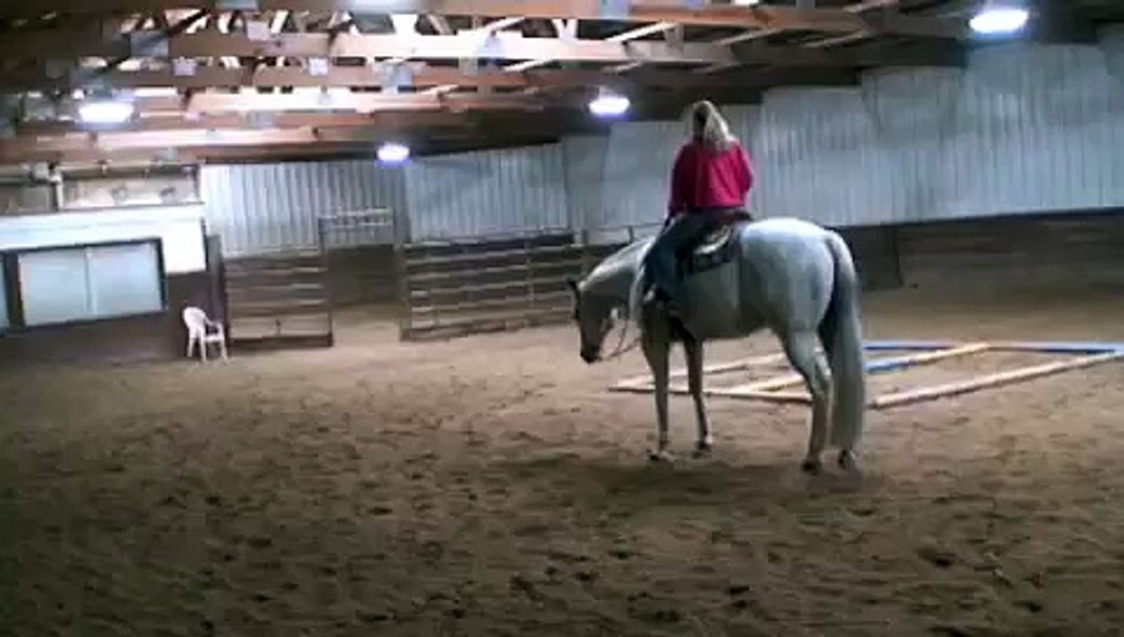 ZIPPIN IN HARMONY - FOR SALE