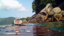 Passeio ao Ubatuba na praia da Enseada, Litoral Norte de São Paulo, Brasil, SUP, em pets reciclados