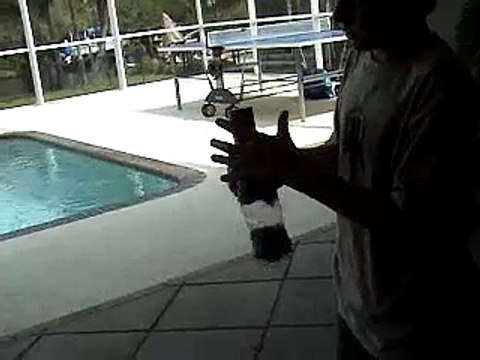 ping pong gun (cannon)