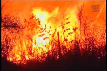 Nuevo incendio forestal en el cerro Ilalo