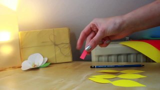 [DIY] Papierblumen (z.B. für Geschenke)