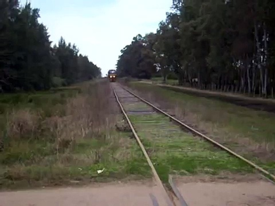 Litoral norte improductivo