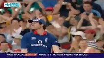 Top 10 Funny Moments of ICC Cricket World Cup.