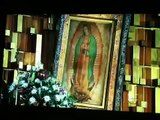 Pedro Fernandez Canta A La Virgen De Guadalupe 2011