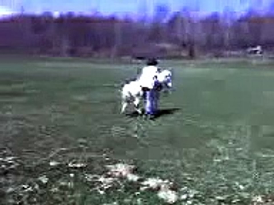 How to get on your pony