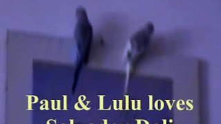 BUDGIES - PAUL & LULU LOVE´S DALI