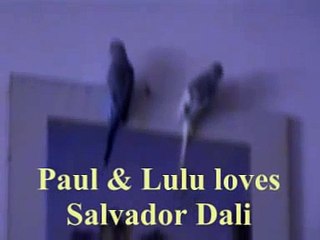 BUDGIES - PAUL & LULU LOVE´S DALI