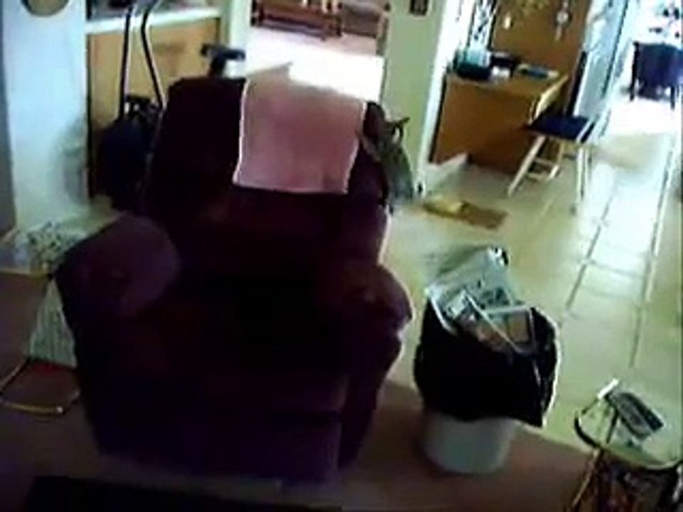 Tobi baby pictures 4