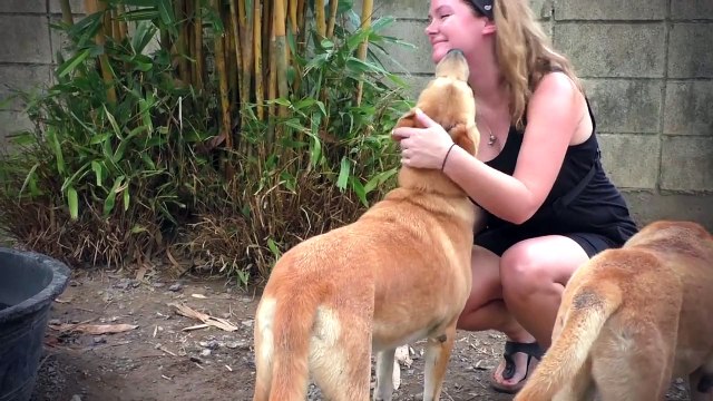 The Phodographer visits The Soi Dog Foundation