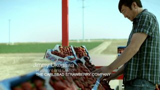 Carlsbad Strawberry Company Urges You Not To Sign The Petition