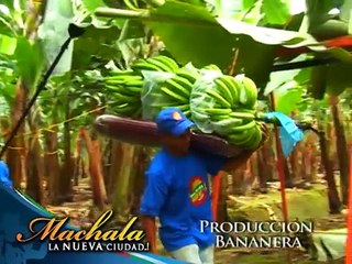 Alcaldía de Machala - Video Turístico: Machala La Nueva Ciudad