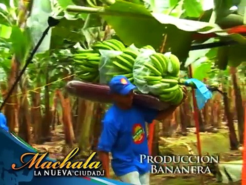 Alcaldía de Machala - Video Turístico: Machala...