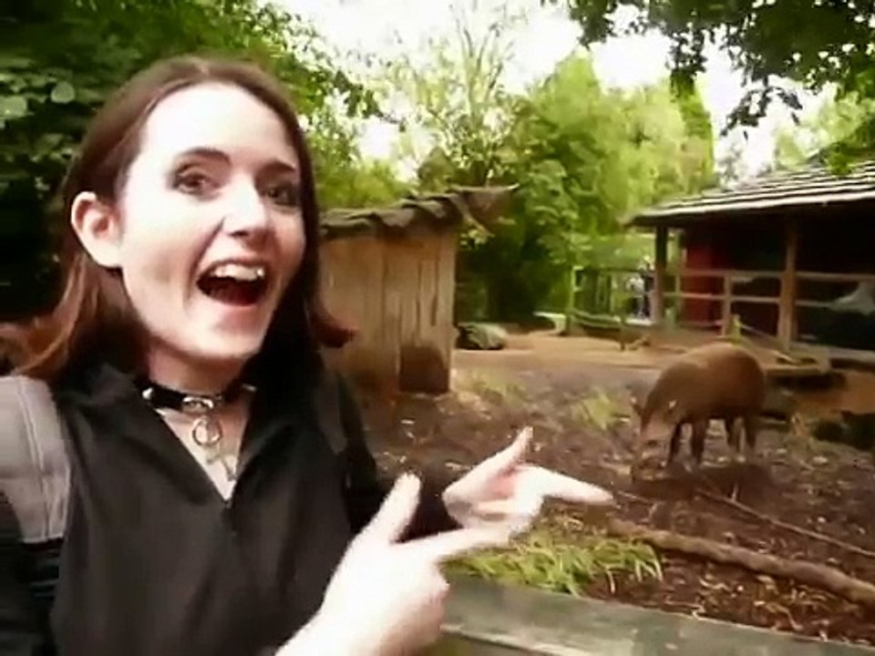 How To Make Hooves: Part One