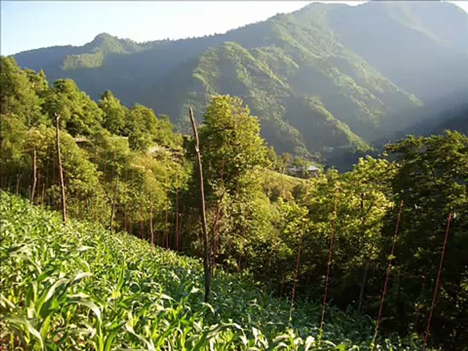 Georgia, Adjara