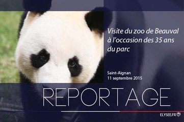 [REPORTAGE] Visite du zoo de Beauval à l'occasion des 35 ans du parc