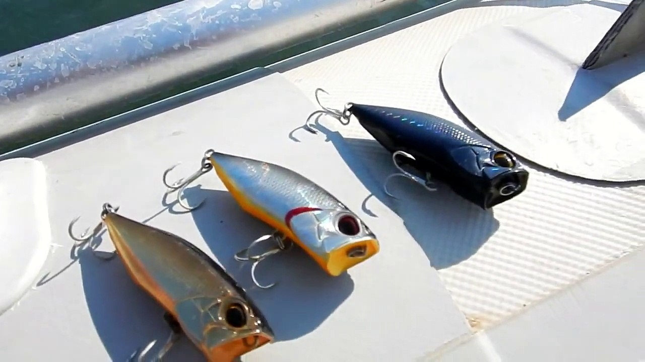 Fishing with DUO #56: Sea Bass On Realis popper!