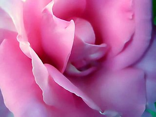 Ornella Vanoni - La voglia di sognare