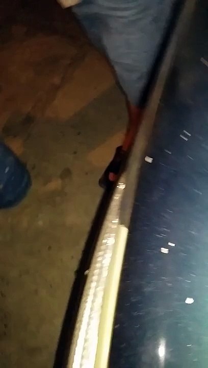 Musica en vivo Deposito la Paloma