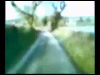 Cycling Around Llechryd Flood