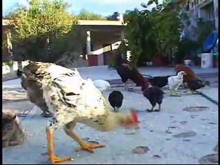 Al Sur de la ilusión. algo sobre salud mental y migración (2 de 2)