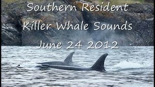 Southern Resident killer Whale Sounds June 24 2012.