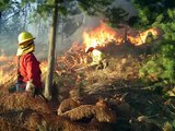 Incendios Forestales - Talca - Chile