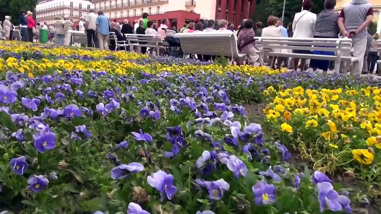 Boże Ciało w Krynicy Zdroju 2015 .