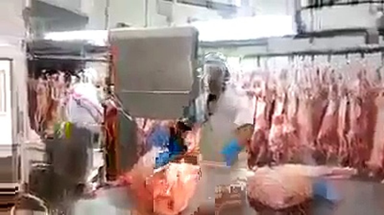 Machine for Cutting Meat