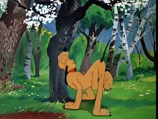 Mickey Mouse Pluto Springtime For Pluto