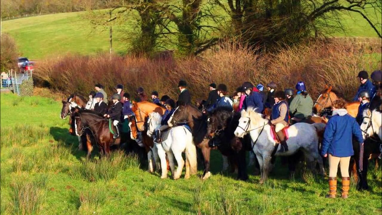 Fox hunting in Ireland video Dailymotion