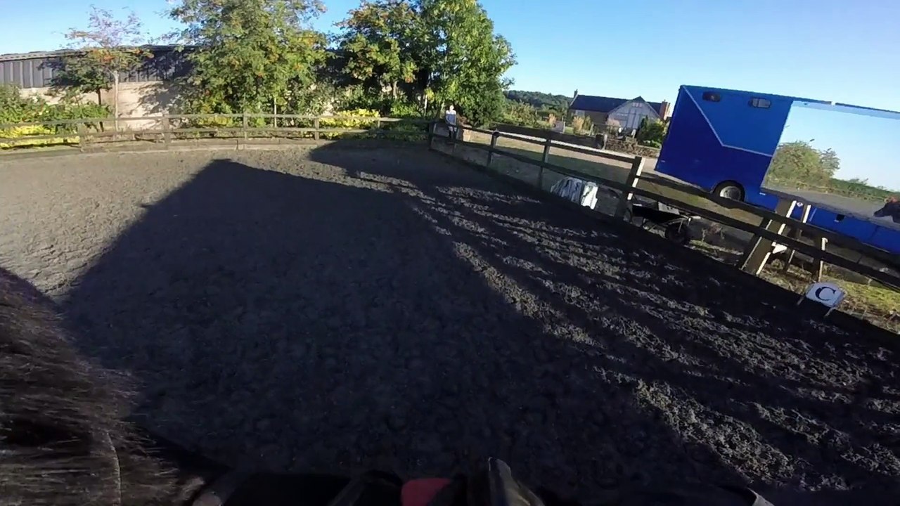Black Berry- GoPro