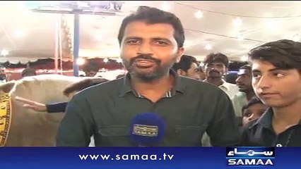 Ayyan Ali _ For Sale_ 15_00000 Rs on Eid-ul-Azha 2015