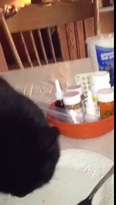 Salem eating
