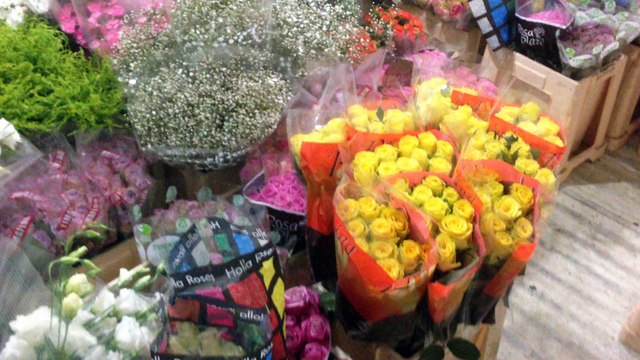 Ankara çiçek siparişi