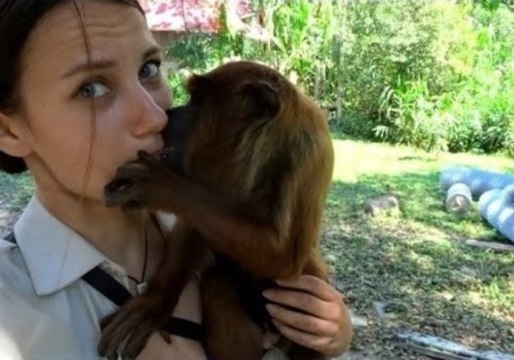 Monkeys Smother Volunteers With Kisses in This Bolivian Animal Sanctuary