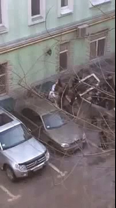 Riot Police Violently Beat An Euromaidan Captive In Kiev