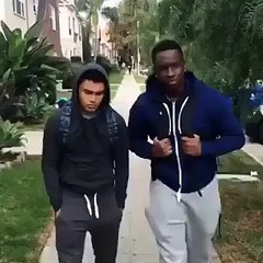 funny guys vs dog rofl