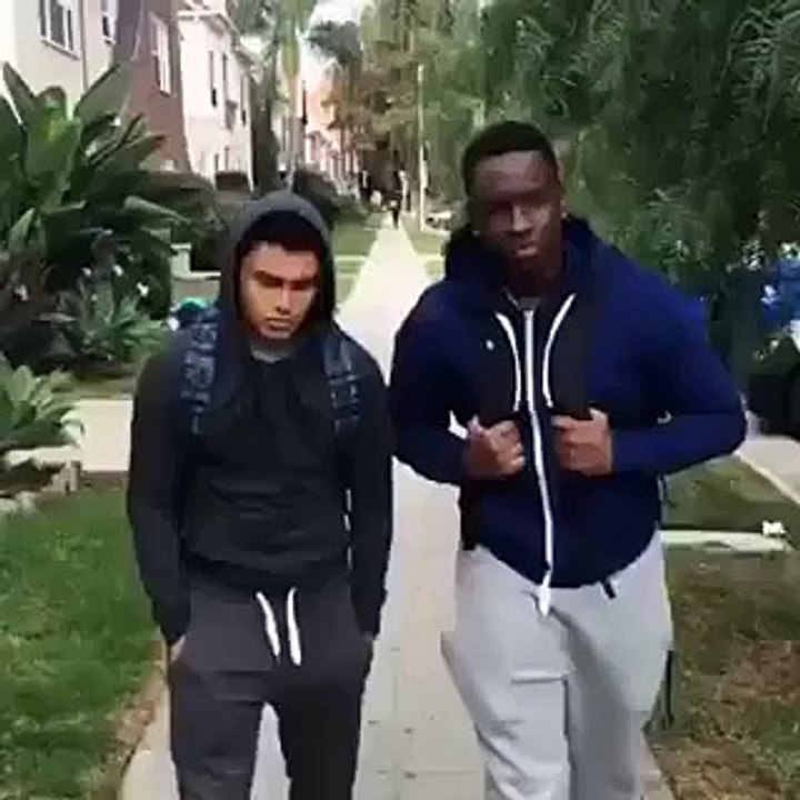 funny guys vs dog rofl
