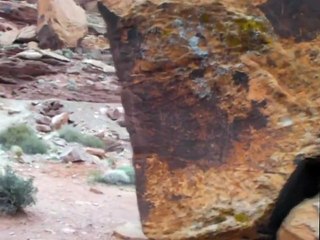 'The Birthing Scene' Petroglyph Rock
