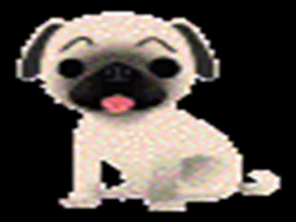 Musica para nuestras mascotas
