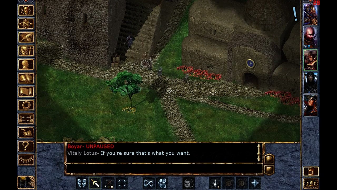 Baldur's Gate - Золотые панталоны