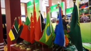 Macaenses são determinantes na Diplomacia Económica lusa na China