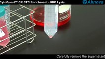CytoQuest™ CR CTC Enrichment - RBC Lysis