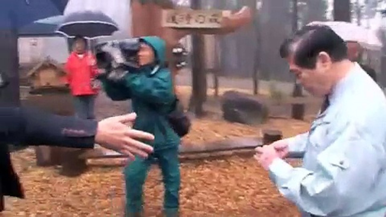 more treesの森No.8  坂本龍一 in 大分県日田市上津江町.m4v