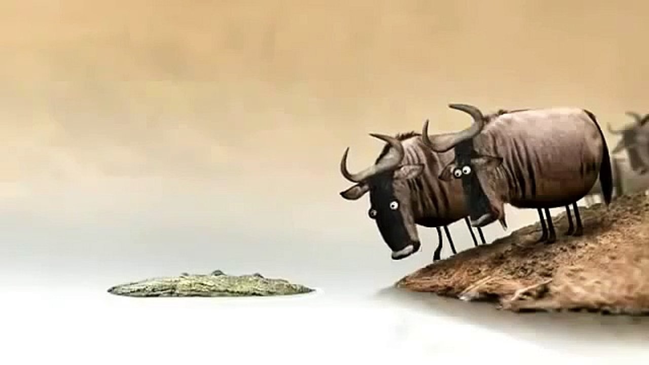 Animated  Cartoon   Do not argue with stupid kids