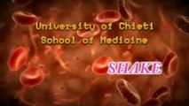 Harlem shake - University of Chieti - School of Medicine - II° grade (at restaurant)