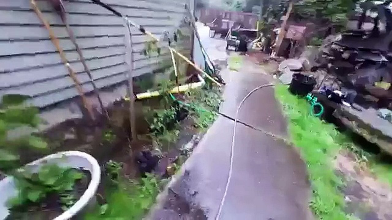 Köpek arkadan boulmaktan kurtaryor