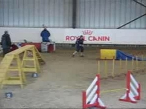 Montage Roxie Agility