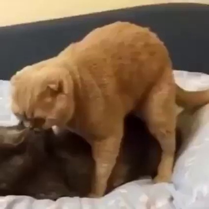 Quand tu passe par derrière....